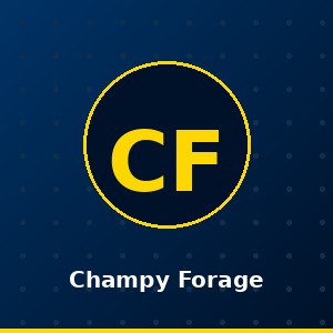 Champy Forage